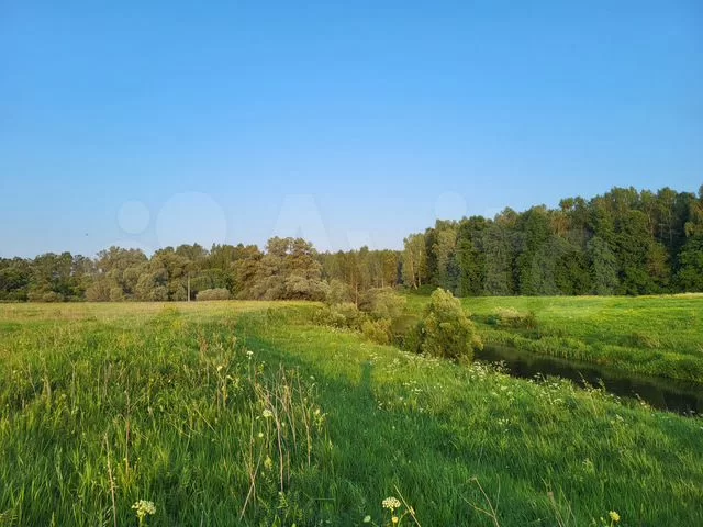 Утро у реки